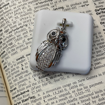 Silver pendant on a white stand with an open book in the background
