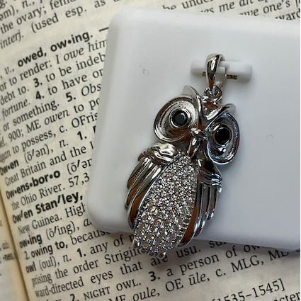 Silver spider pendant on a white background with an open book underneath