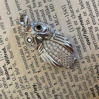 Silver pendant on an open book with text