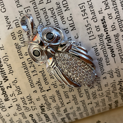 Silver owl pendant on an open book