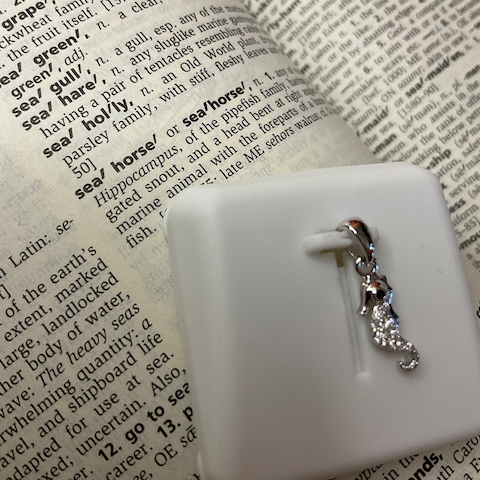 White rectangular object with a silver pendant on top of a dictionary page