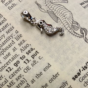 Silver necklace with a pendant on an open book