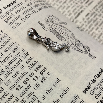 Silver necklace with a dragon pendant on an open book
