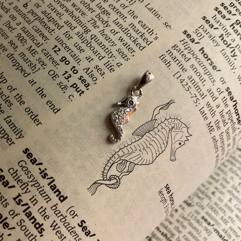 Seahorse pendant on a piece of paper with text