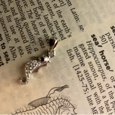 Silver seahorse charm on an open book with text