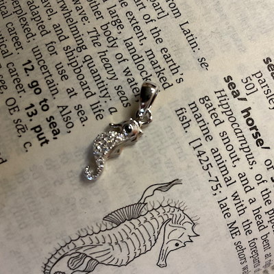 Silver seahorse pendant on an open book with text