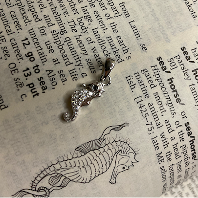 Silver seahorse pendant on a piece of paper with text and illustrations.