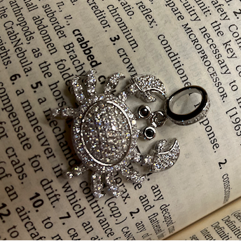 Silver crab charm on an open book